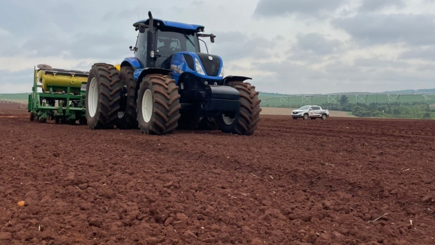 Sudoeste Paulista inicia plantio de algodão para a safra 2025/26