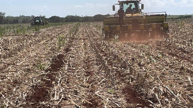 Noroeste Paulista inicia semeadura do algodão para a safra 2025/26