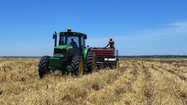 Plantio do algodão tem início no Oeste Paulista com abertura do ciclo da safra 2025/26