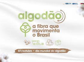 Algodão, a fibra que movimenta o Brasil