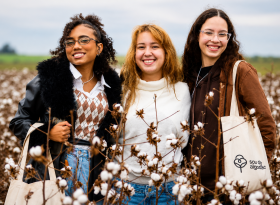 APPA apoia imersão da Experiência Sou de Algodão com estudantes de moda e design do estado de São Paulo