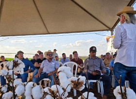 APPA comemora a 5ª edição do Dia de Campo do Algodão do Noroeste Paulista em Cosmorama