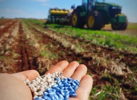 Time APPA implanta o 1º Ensaio de Cultivares de Algodão para o SP COTTON DAY