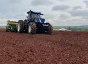 Sudoeste Paulista inicia plantio de algodão para a safra 2025/26