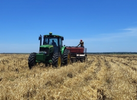 Plantio do algodão tem início no Oeste Paulista com abertura do ciclo da safra 2025/26
