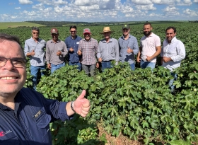 APPA promove capacitação em campo sobre manejo fitossanitário para produtores do Noroeste Paulista